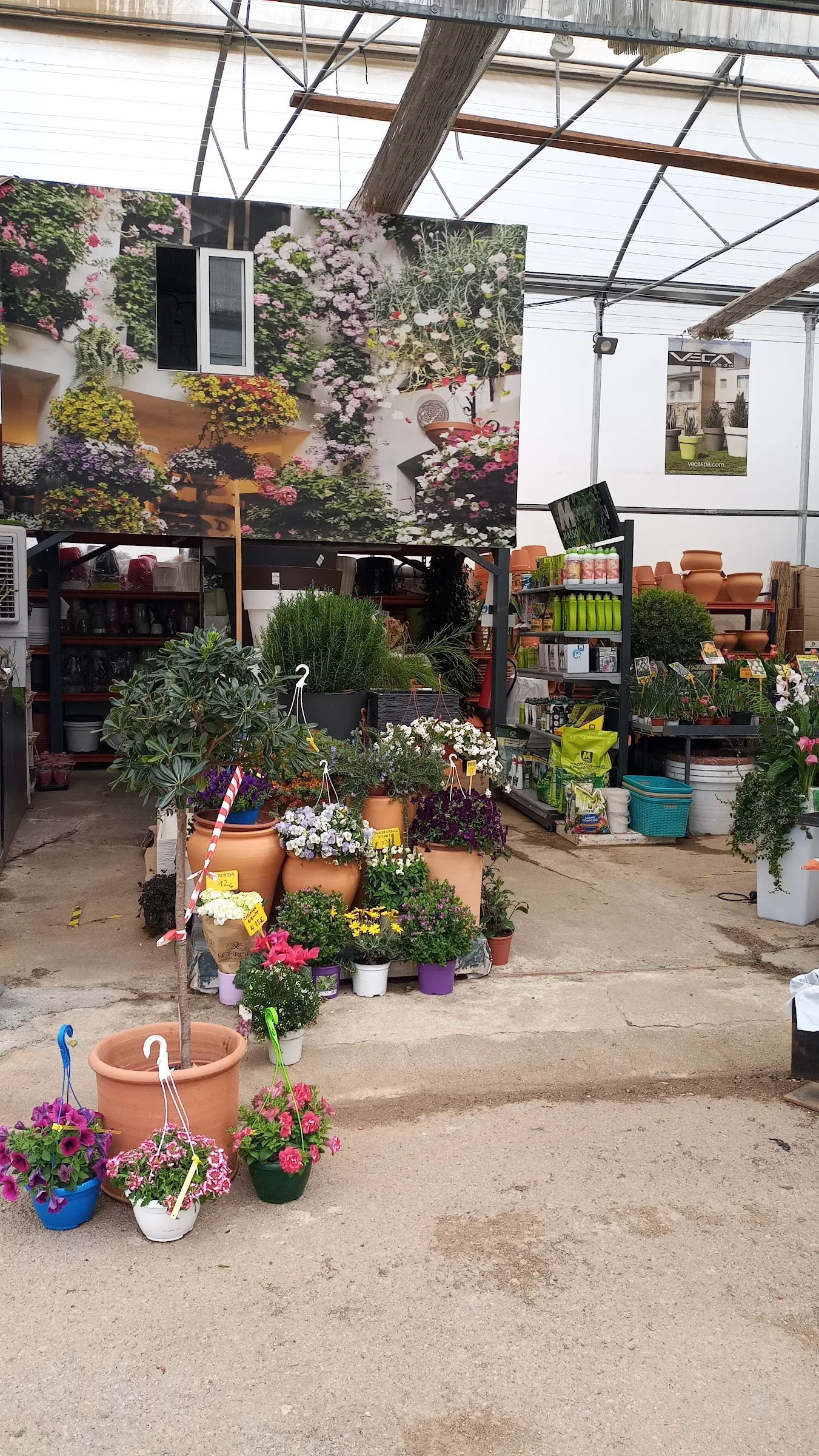 Zona de flores de temporada y macetas